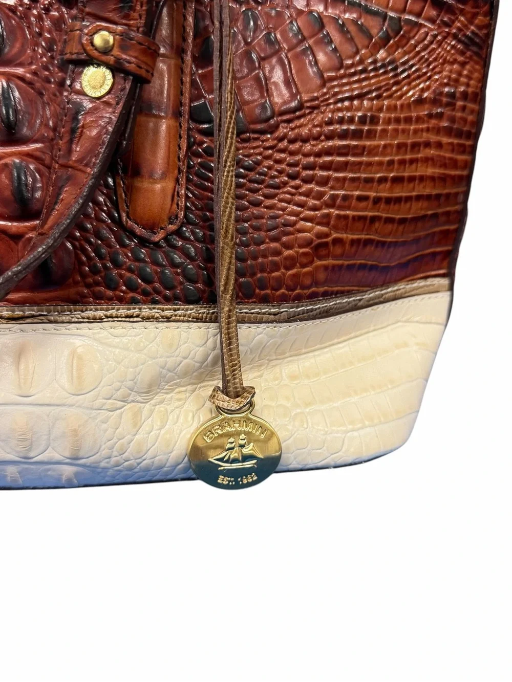 Brahmin structured croc
